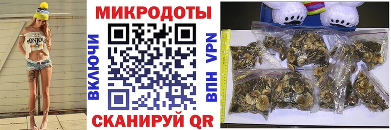 Галлюциногенные грибы Cubensis купить закладку Сурск