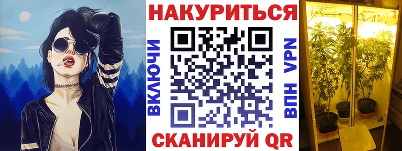 Канабис планчик Сурск
